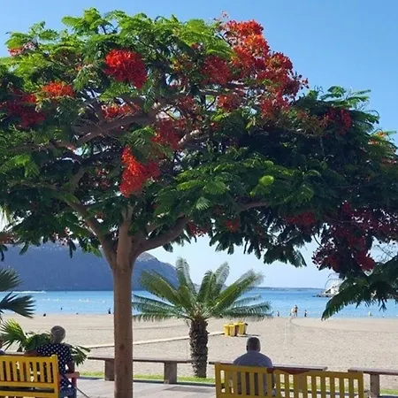 Apartmán Fuer 3 Personen Ca 45 M In Cristianos, Teneriffa Westkueste Von Teneriffa *